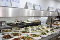   游客打卡政府食堂吃了500斤饭400斤鹅 缩略图