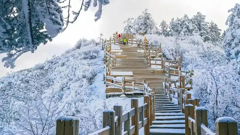 花240元门票上山后雪地却被围起收费