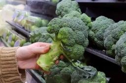   中国宝妈重返阿联酋：物价涨太多 缩略图