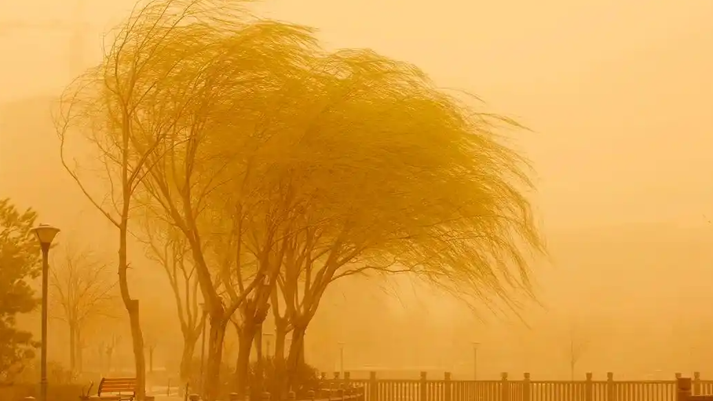 大风+台风+沙尘暴！多预警齐发