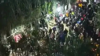 航拍万人涌入地里“偷甘蔗”