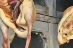   女子楼道晾晒16斤咸肉撒手没 缩略图