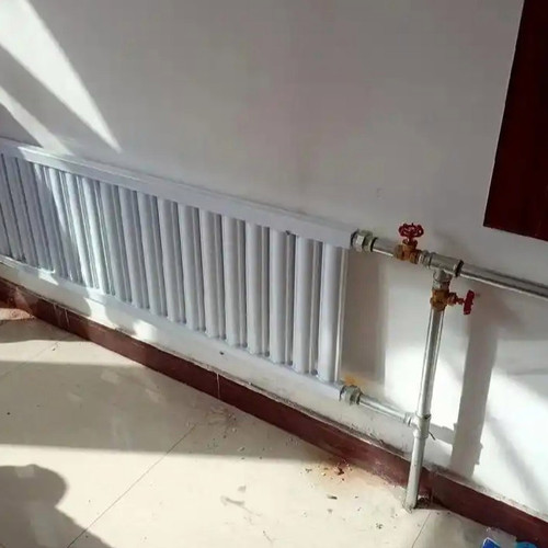 女子维修暖气被上门工人亲了一口