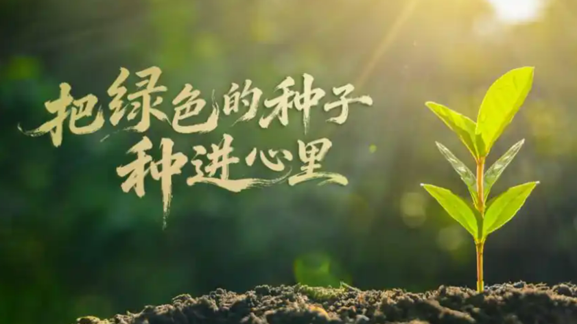 把绿色的种子种进心里