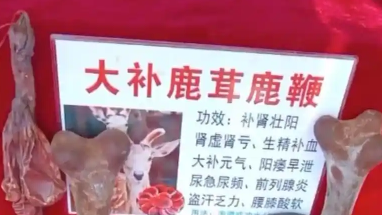  央视揭鹿茸骗局：谐音设局 强买强卖