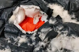   羽绒服翻新 还得“翻”出诚信来 缩略图