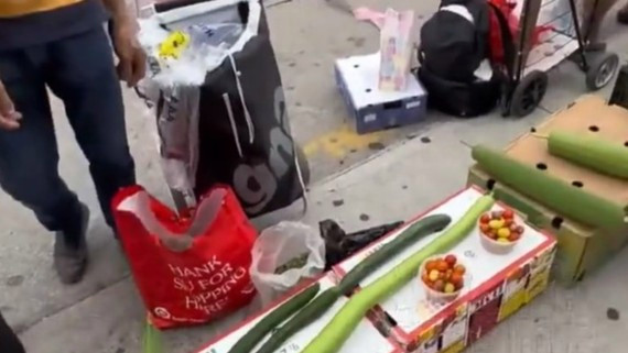华人大爷大妈摆摊卖菜占领纽约早市