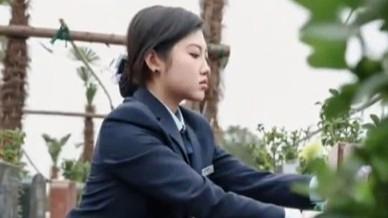 00后女孩留学回来当职业扫墓人
