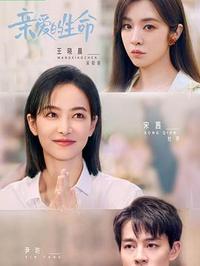 10152-女医生的机智生活（80集）左一陈刚