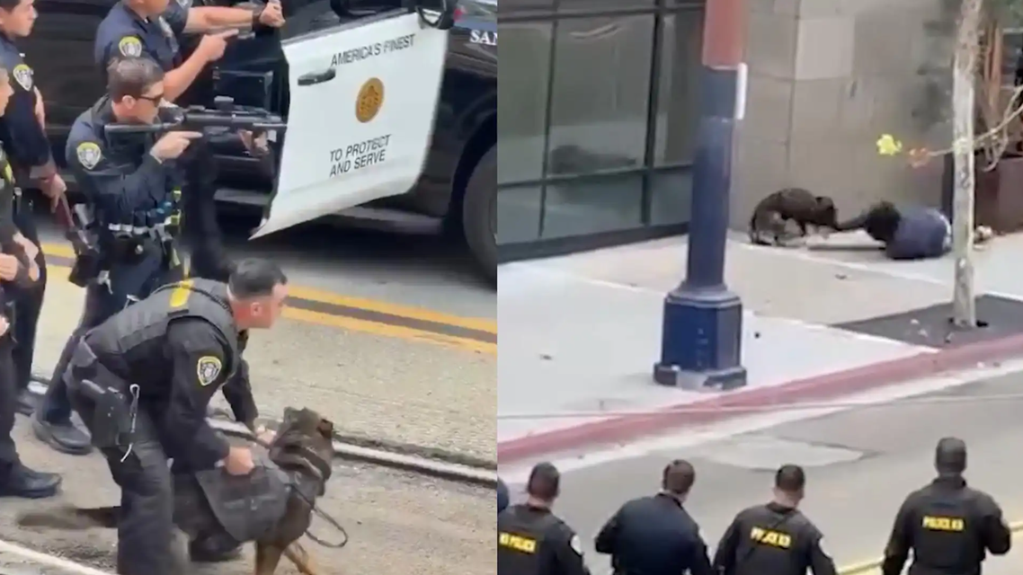 美国加州发生暴力袭击事件