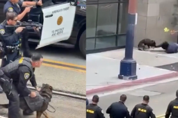   美国加州发生暴力袭击事件 缩略图