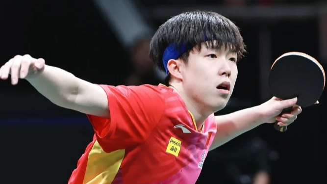 王楚钦：全运会不存在冷门