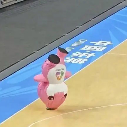 全运会“大湾鸡”表演倒立超可爱