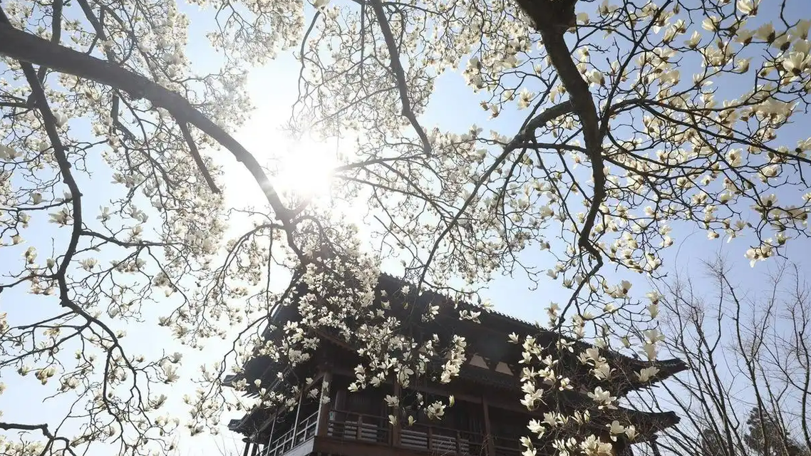 厄尔尼诺要来了 今年会超级热吗