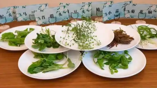 为什么吃蔬菜要多选深色的