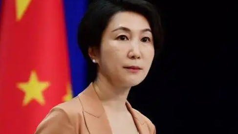 印度宣布击落至少5架巴基斯坦战斗机