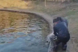   刷屏全网的黑衣男子是一位大学教授 缩略图