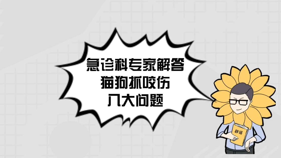 徐杰：不认为河村永辉比我强很多