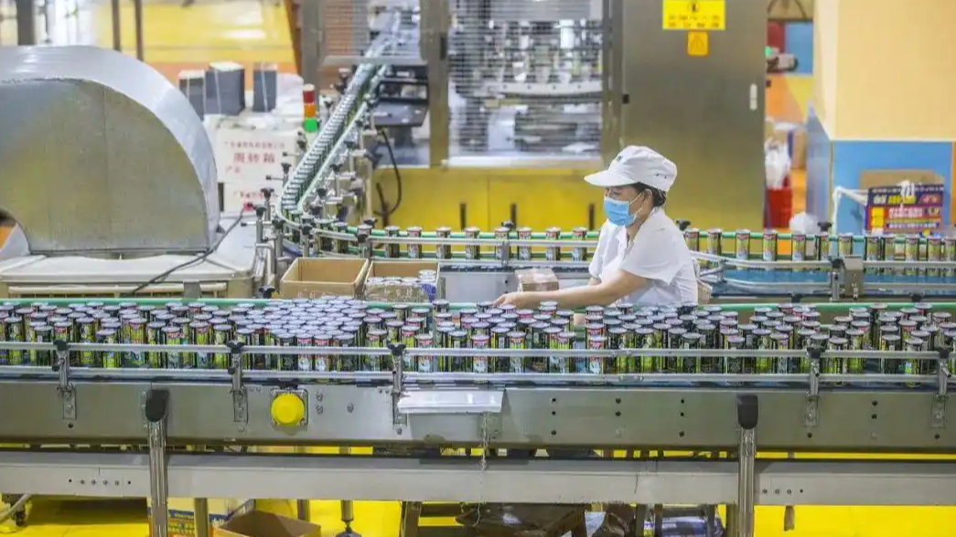 擦边二十年的椰树 这次翻车不冤