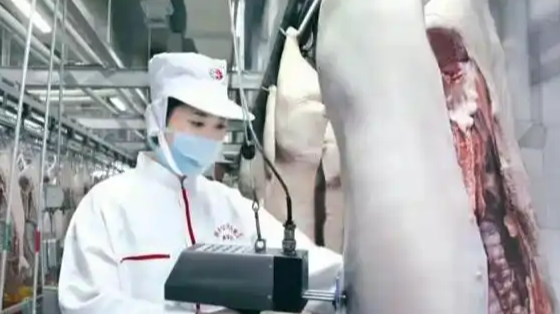 三问双汇为何抗生素超标38倍