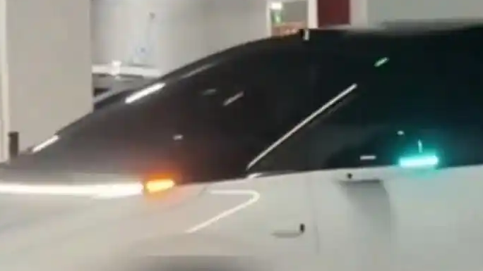 智驾在车库自动泊车 变成“蛄蛹者”