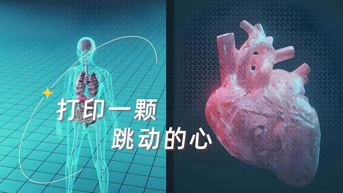中国科学家打印出跳动的心脏类器官