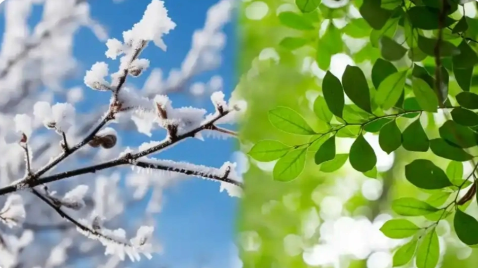 大回暖 立春后可以收起羽绒服吗