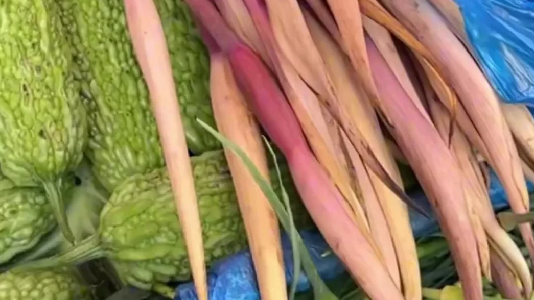 立春了 朱广权喊你吃“春菜”