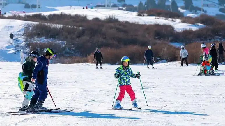多地官宣“雪假” 网友：实名制羡慕