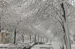 山东这次暴雪为何这么大