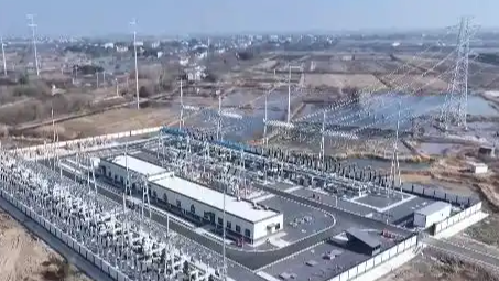 国产“电力心脏”全球爆单