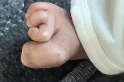 26日