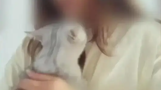 生娃能领7笔钱 有人能拿10万