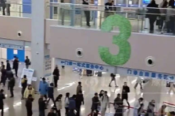 15日