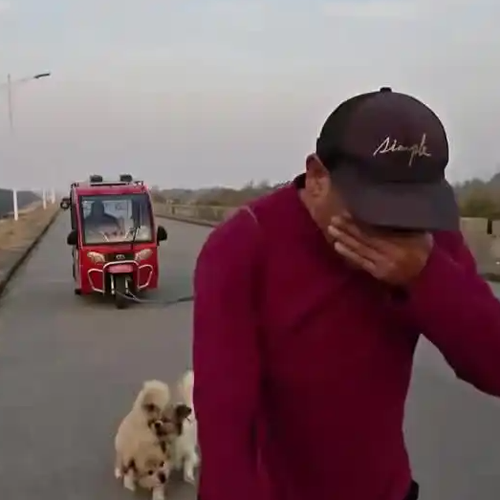 61岁儿子用车拉100岁父亲晨练