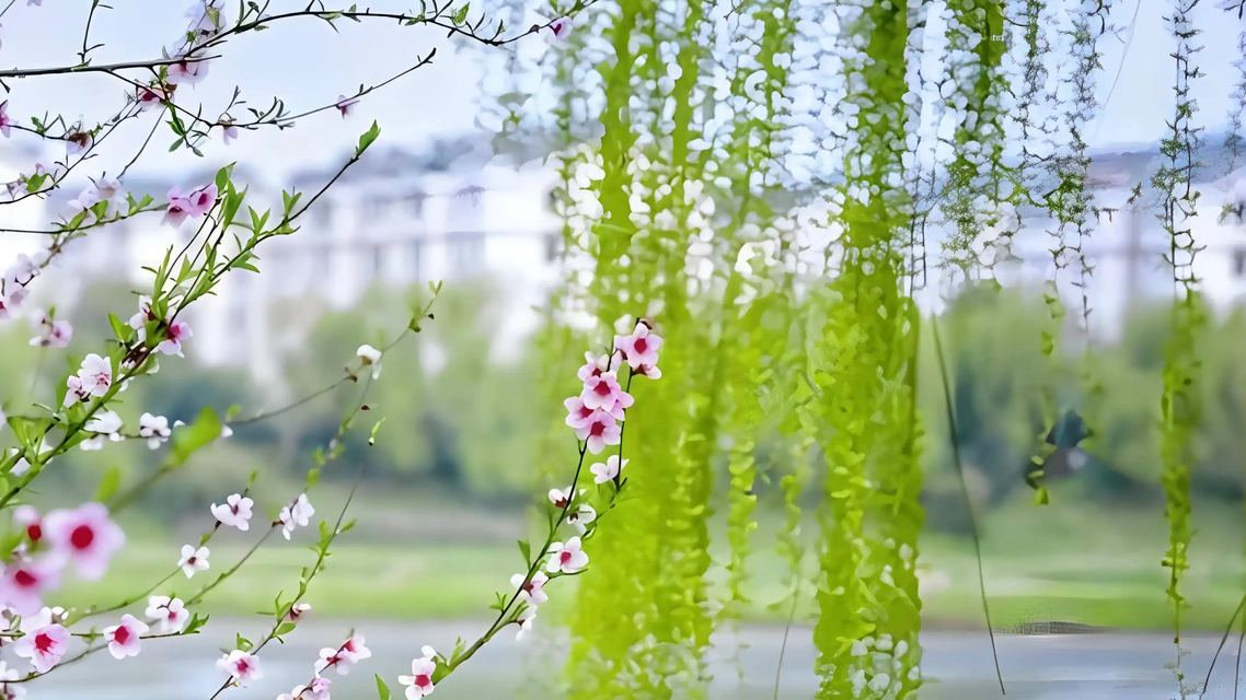  千亿级消费新引擎来了