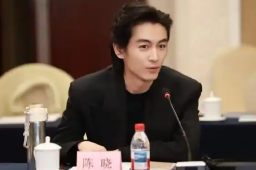 演员陈晓人民日报撰文