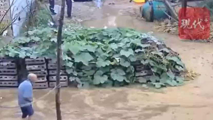  老人摔倒水中挣扎 民警未搀扶被投诉