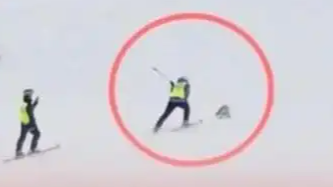 警方辟谣滑雪场员工打死野生狐狸