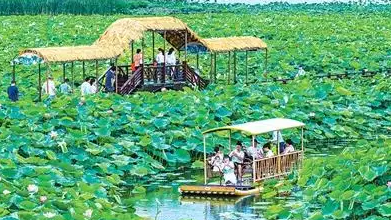 暑期游“热”起来