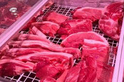  中国取消1.2万吨美国猪肉订单 缩略图