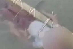   印男孩遭蛇咬伤被父母浸入恒河死亡 缩略图