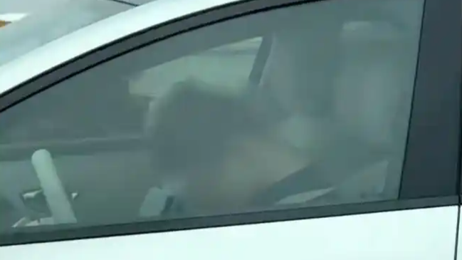 男子高速开智驾睡着 拍摄者发声