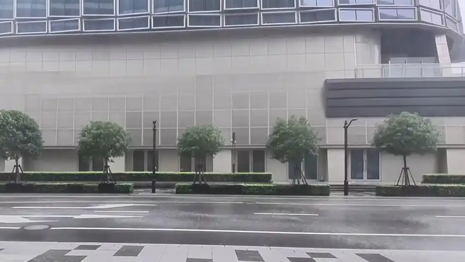  白海豚会重现杜苏芮强度吗