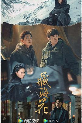 Z 藏 丨海 花 2024