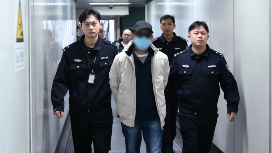 公安机关从南非引渡经济犯罪嫌疑人