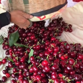 车厘子价格暴跌近40%