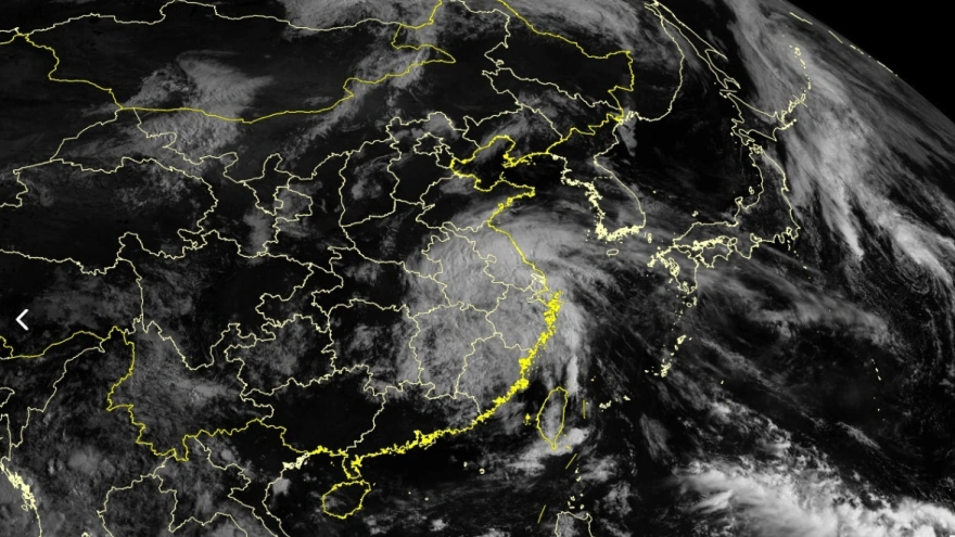  白海豚雨量超越利奇马、巴威