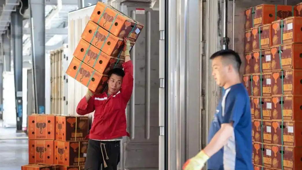 一大批榴莲来了