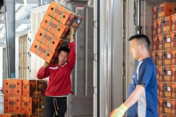   一大批榴莲来了 缩略图